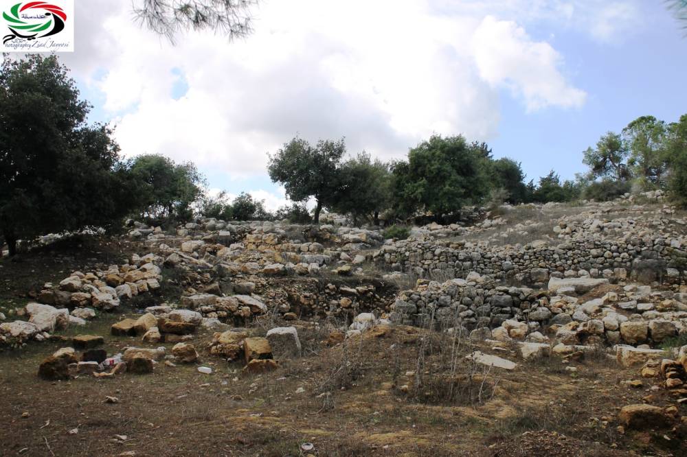 صباحكم أجمل/ برهام وجيبيا حكاية أخرى بقلم وعدسة: زياد جيوسي الحلقة الثانية