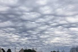 النشرة الجوية : أجواء باردة وجافة في اغلب مناطق المملكة