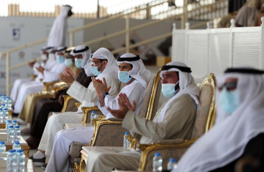 مهرجان الظفرة 14 يتوج الفائزين في أشواط مزاينة الإبل للثنايا المجاهيم