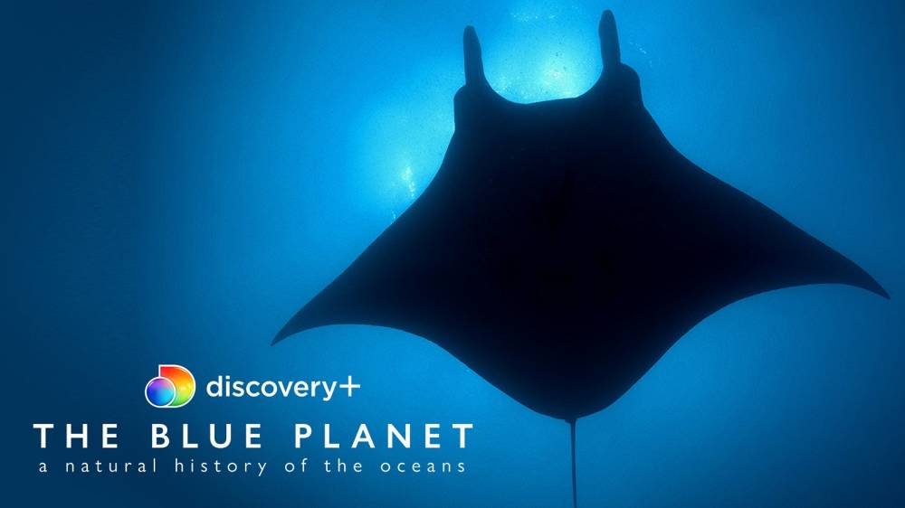   STARZPLAY توقع اتفاقية شراكة مع Discovery Inc. لإطلاق محتوى discovery+ العالمي في منطقة الشرق الأوسط وشمال أفريقيا