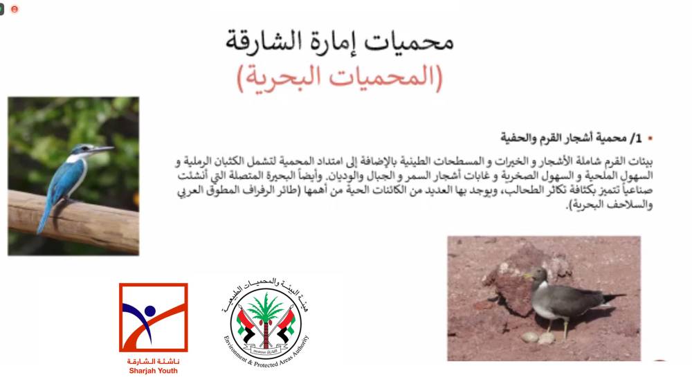 ناشئة الشارقة يستكشفون المحميات الطبيعية في الإمارة الباسمة وأهميتها افتراضياً  