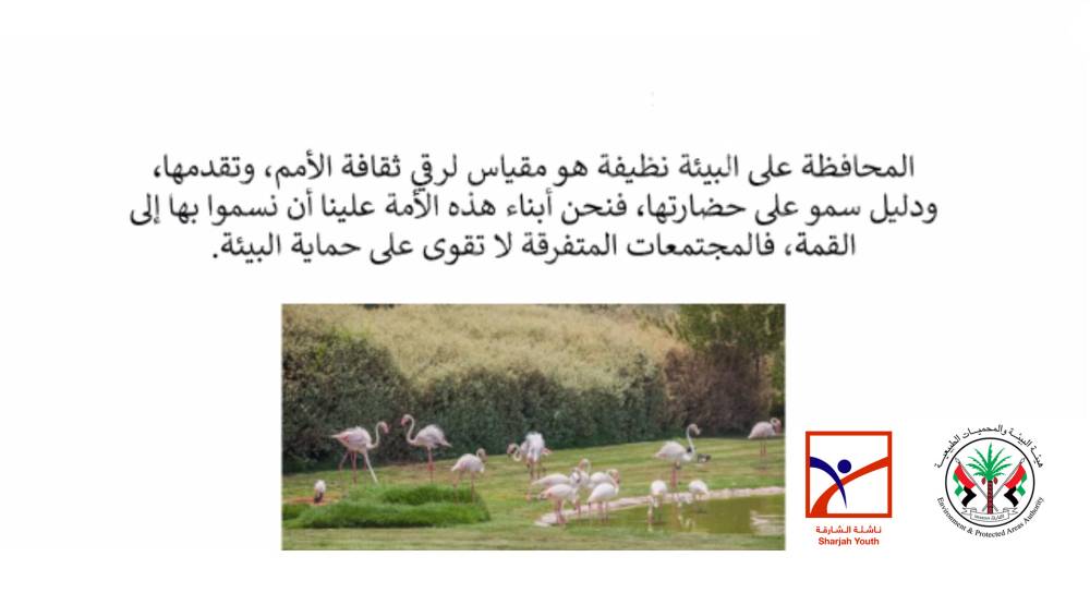 ناشئة الشارقة يستكشفون المحميات الطبيعية في الإمارة الباسمة وأهميتها افتراضياً  