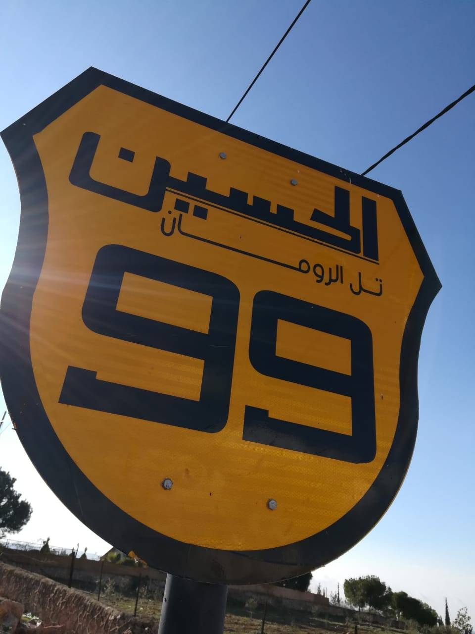 أعضاء مجلس الوحدة الاعلامية العربية يناشدون عبر الاعلام   ولي العهد لإنقاذ مبادرة الحسين 99  
