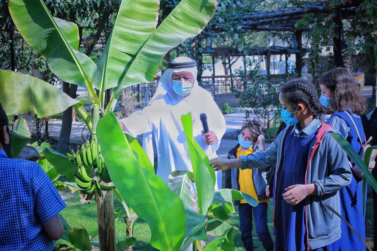 معهد الشارقة للتراث ينظم فعالية أصدقاء البيئة الزراعية في قلب الشارقة