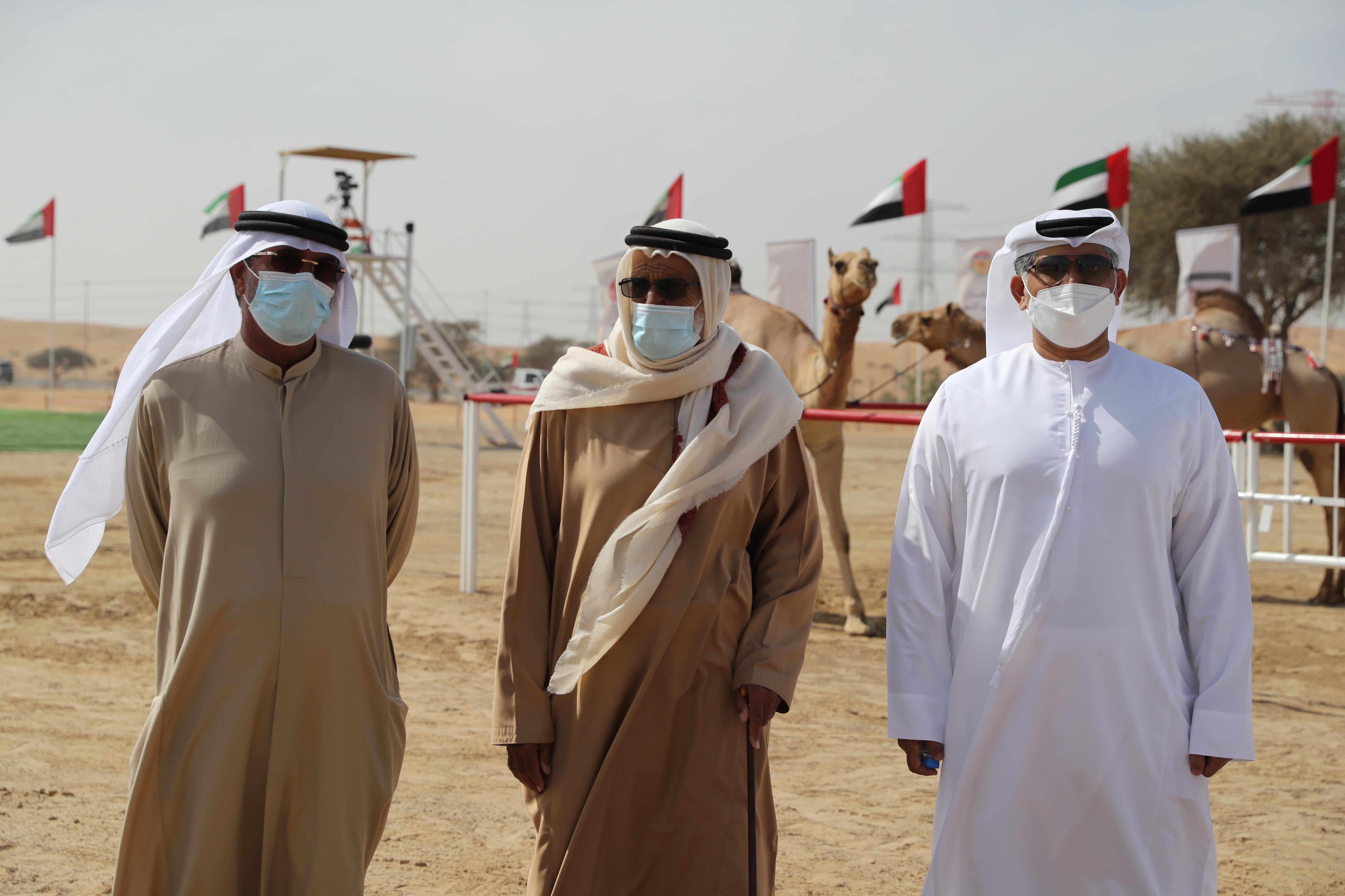 مهرجان محمد بن زايد لسباق الهجن ومزاينة الإبل يعلن نتائج مزاينة أشواط الثنايا