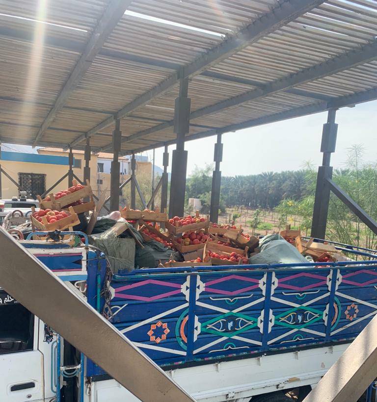 الجمارك تحبط تهريب كميات كبيرة من الأحذية  