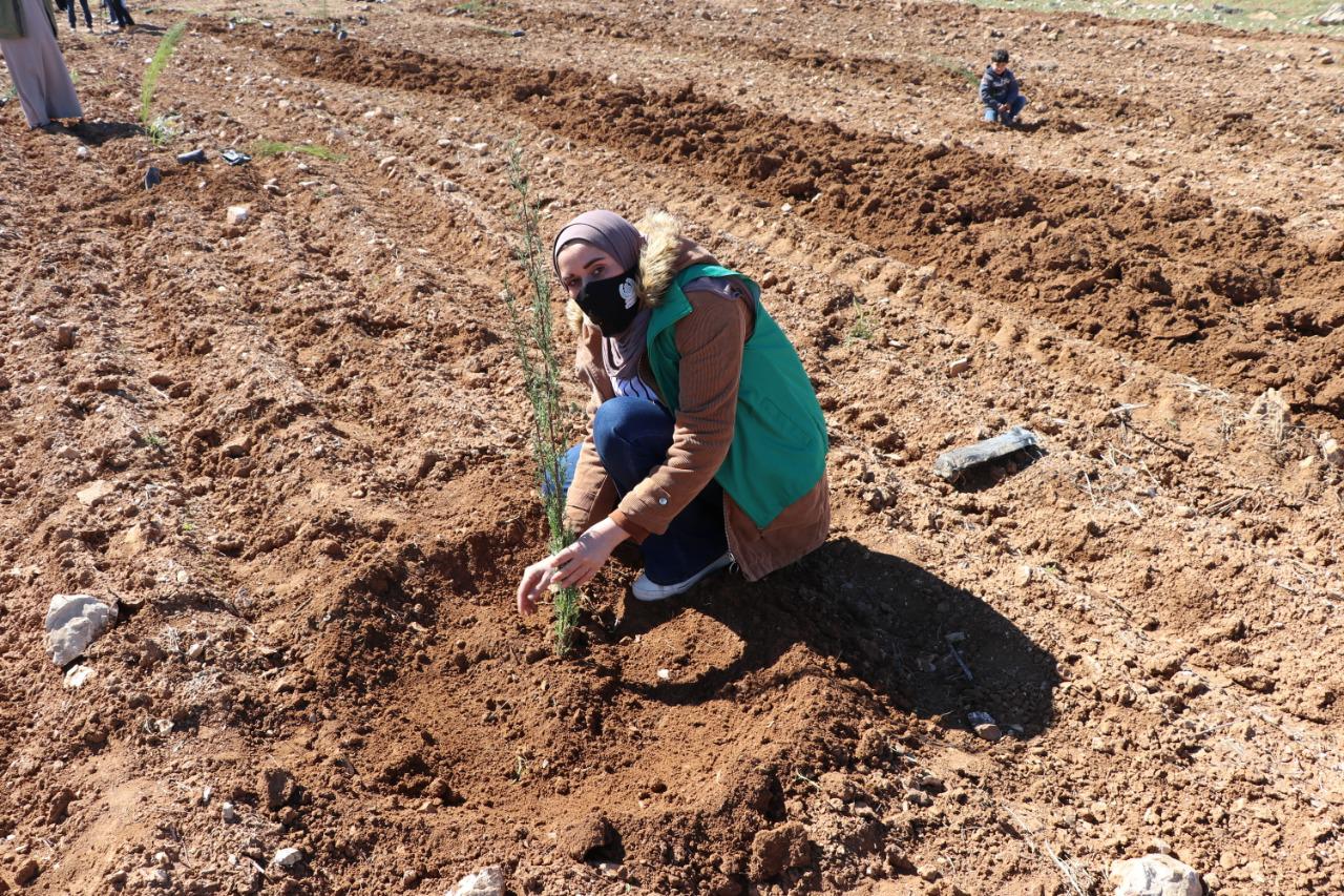 مبادرة جدارا تطلق فعالية اشجارنا مستقبلنا في الجنوب