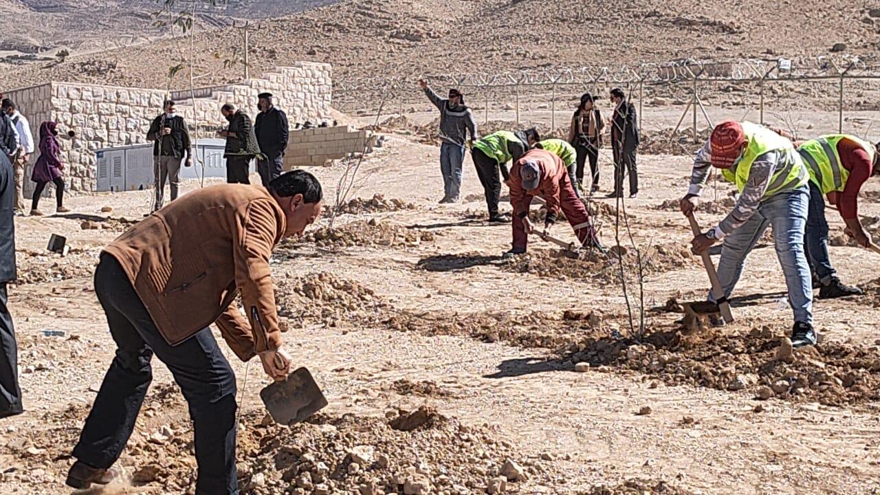 أشجارنا مستقبلنا تواصل فعالياتها في البتراء   