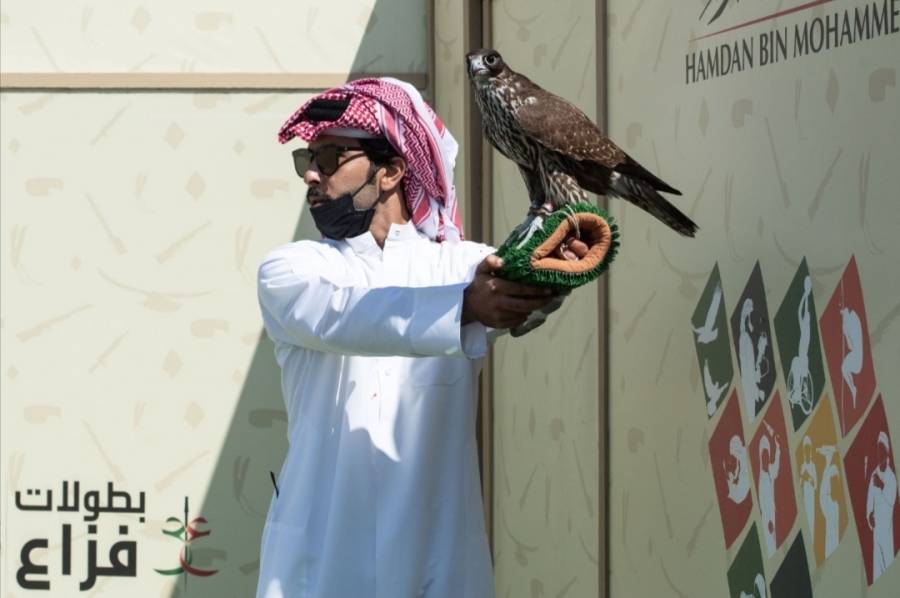 انطلاقة قوية ومشاركة كبيرة من دولة قطر في بطولة فخر الأجيال للصيد بالصقور التلواح