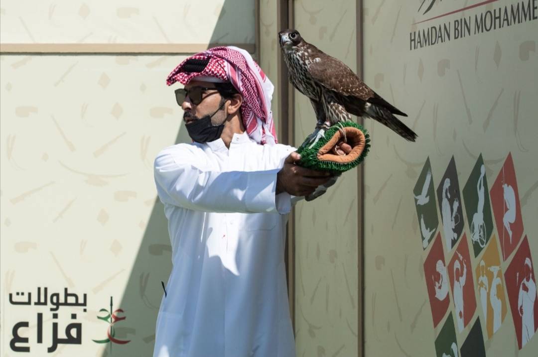 انطلاقة قوية ومشاركة كبيرة من دولة قطر في بطولة فخر الأجيال للصيد بالصقور التلواح
