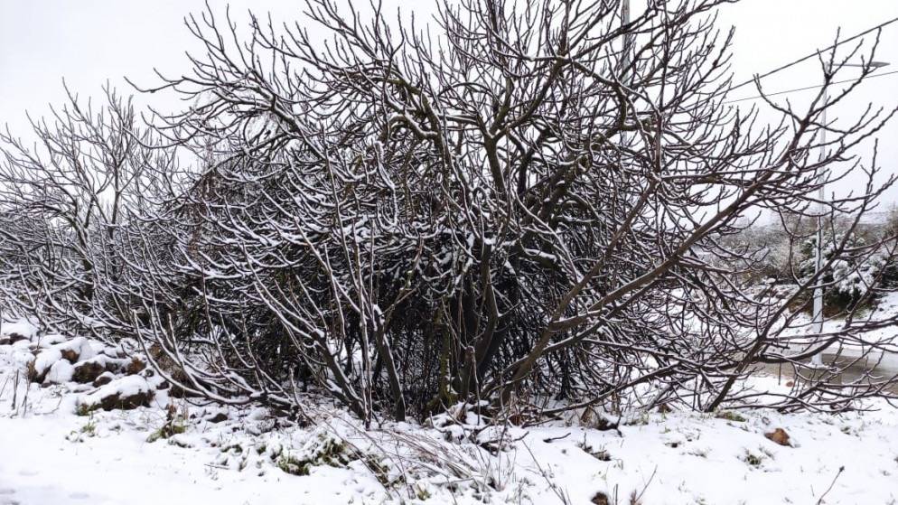 تساقط ثلوج على مرتفعات جبلية عالية في عدة مناطق..صور 