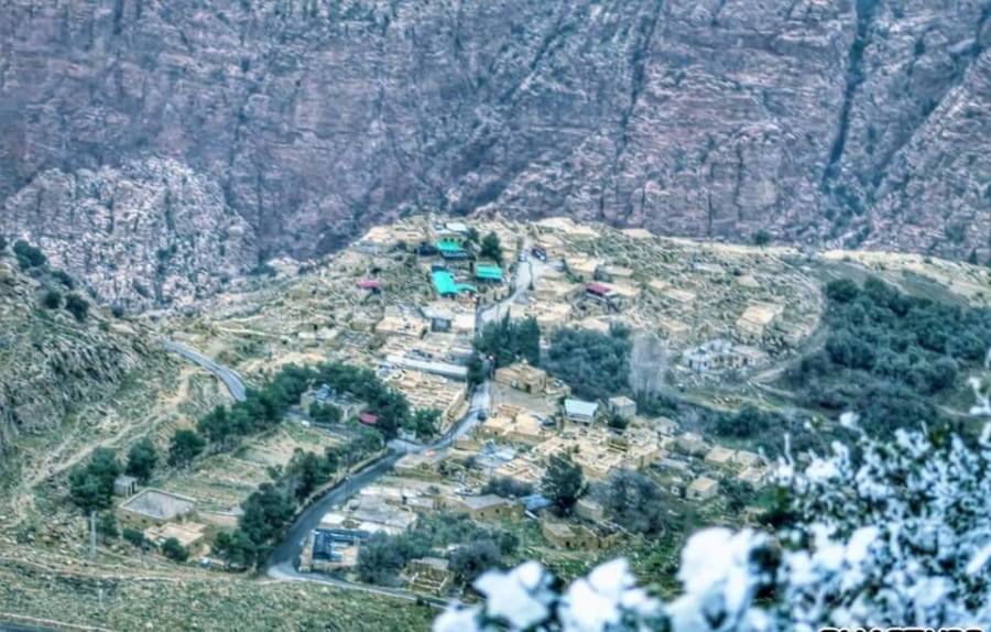 الزائر الأبيض يزيد جبال الطفيلة جمالاً.. صور