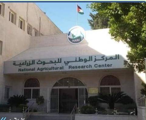 البحوث الزراعية : أمطار و ثلوج الخير تبشر بموسم زراعي جيد