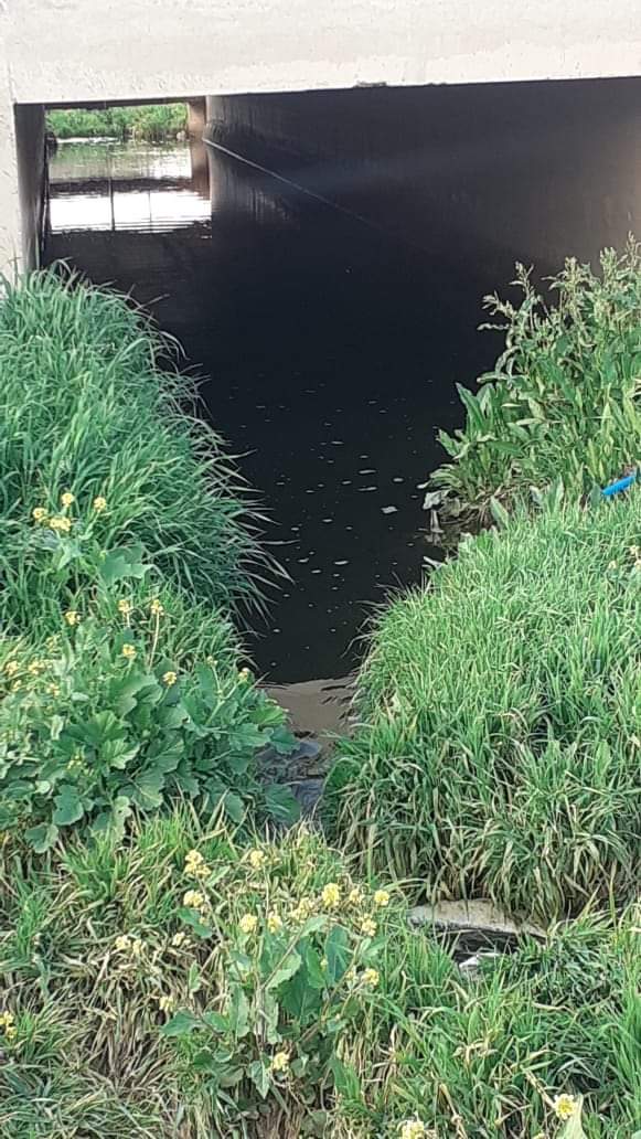 مادبا : متابعة للفيديو الذي تم نشره والذي يظهر فيه مياه عادمة في مجرى وادي الحبيس باتجاه المريجمة