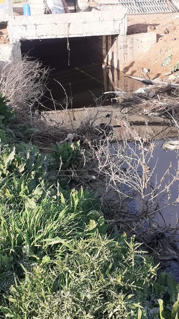مادبا : متابعة للفيديو الذي تم نشره والذي يظهر فيه مياه عادمة في مجرى وادي الحبيس باتجاه المريجمة