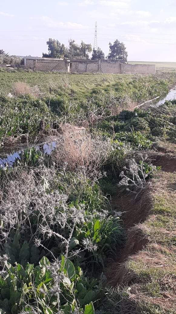 مادبا : متابعة للفيديو الذي تم نشره والذي يظهر فيه مياه عادمة في مجرى وادي الحبيس باتجاه المريجمة