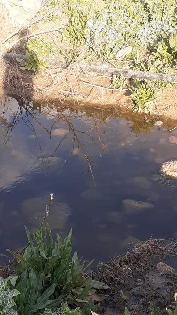 مادبا : متابعة للفيديو الذي تم نشره والذي يظهر فيه مياه عادمة في مجرى وادي الحبيس باتجاه المريجمة