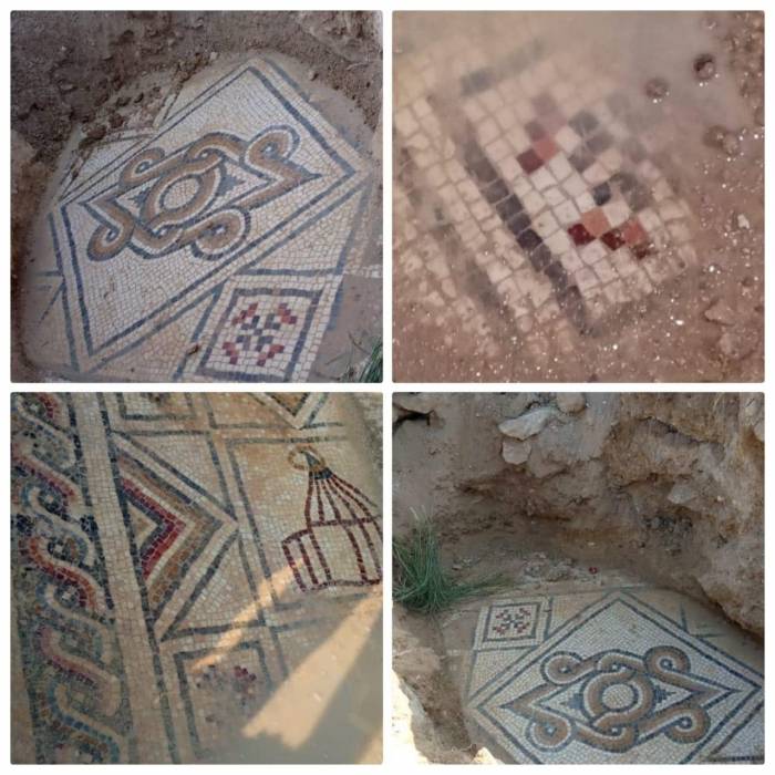 العثور على مجموعة من قطع الفسيفساء في محافظة عجلون
