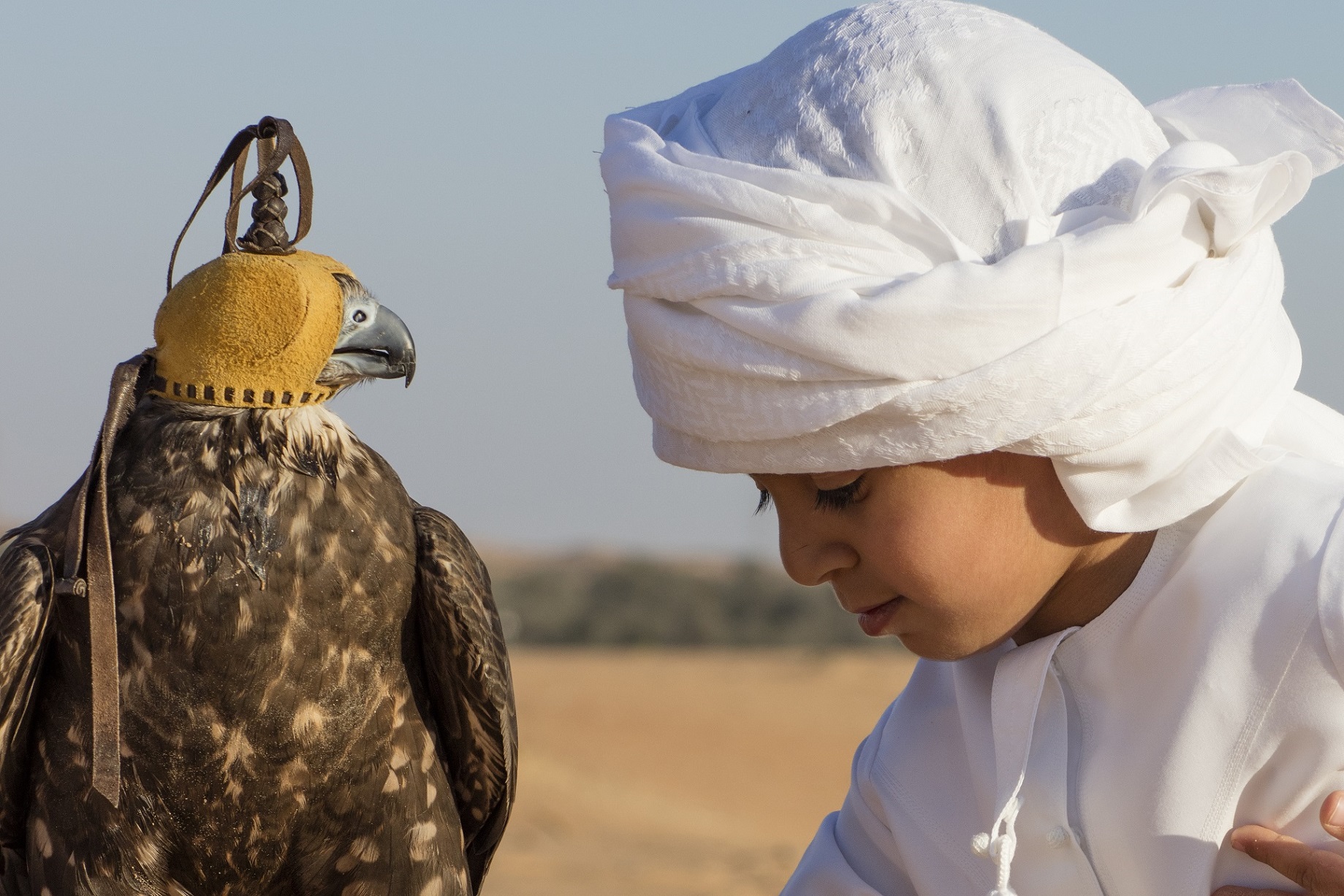 وجهة ثقافية وسياحية رئيسة في منطقة العين 