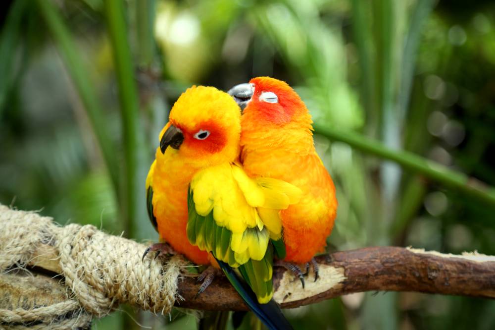 دخول مجانية للأمهات لعدد من المعالم الشيّقة في عيد الأم!