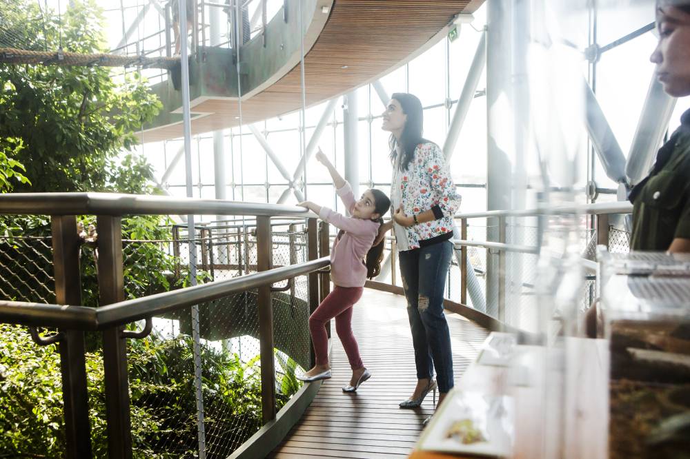 دخول مجانية للأمهات لعدد من المعالم الشيّقة في عيد الأم!