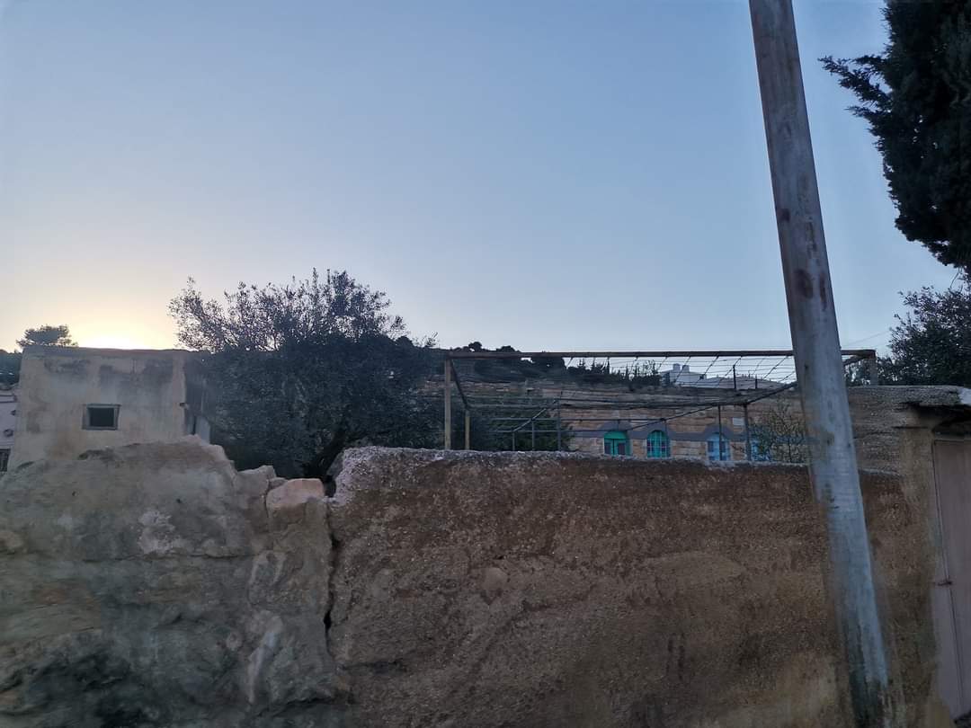 الدكتورة حنين عبيدات تكتب : جمال يجعلك منتمٍ أكثر!!  