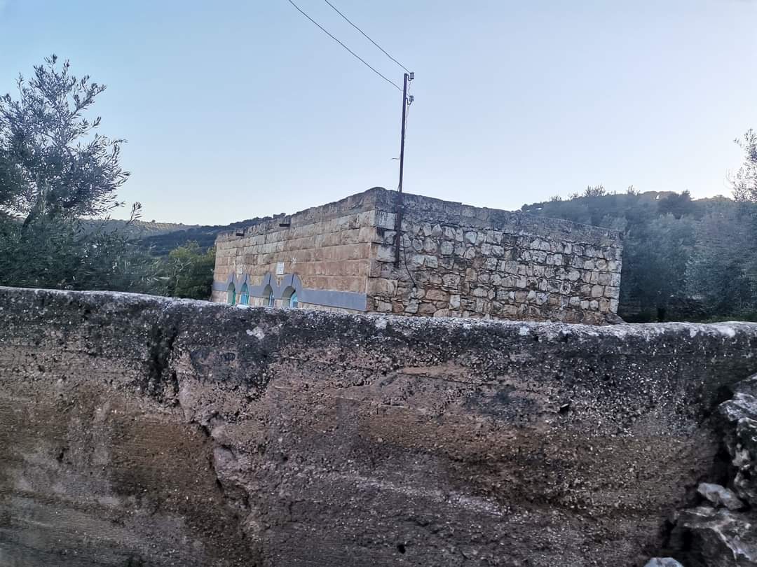 الدكتورة حنين عبيدات تكتب : جمال يجعلك منتمٍ أكثر!!  