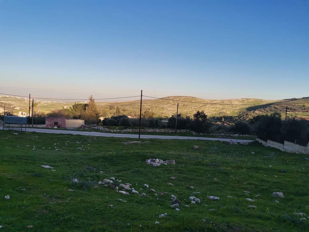 الدكتورة حنين عبيدات تكتب : جمال يجعلك منتمٍ أكثر!!  