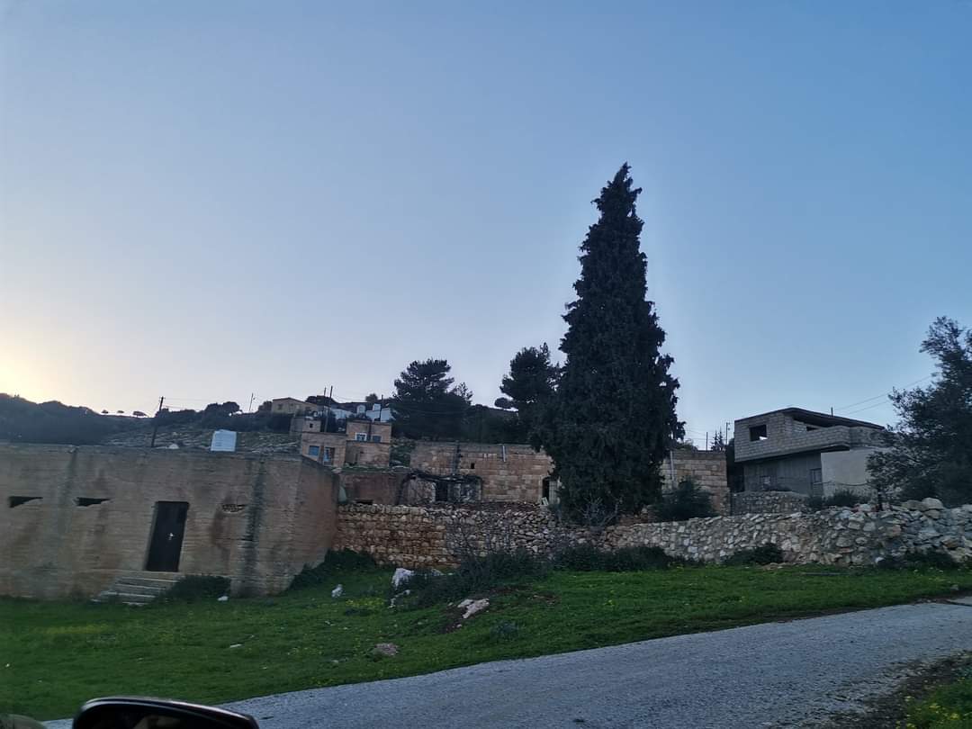 الدكتورة حنين عبيدات تكتب : جمال يجعلك منتمٍ أكثر!!  