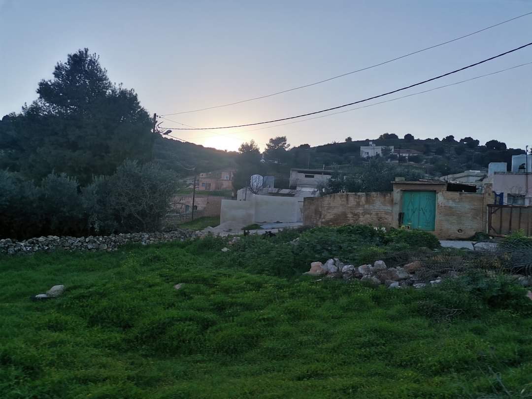 الدكتورة حنين عبيدات تكتب : جمال يجعلك منتمٍ أكثر!!  