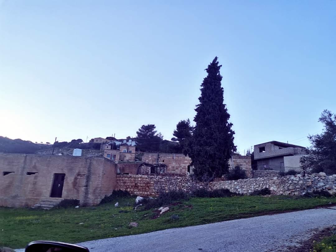 الدكتورة حنين عبيدات تكتب : جمال يجعلك منتمٍ أكثر!!  