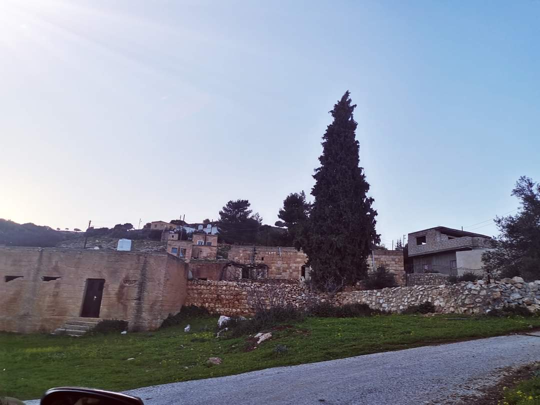 الدكتورة حنين عبيدات تكتب : جمال يجعلك منتمٍ أكثر!!  