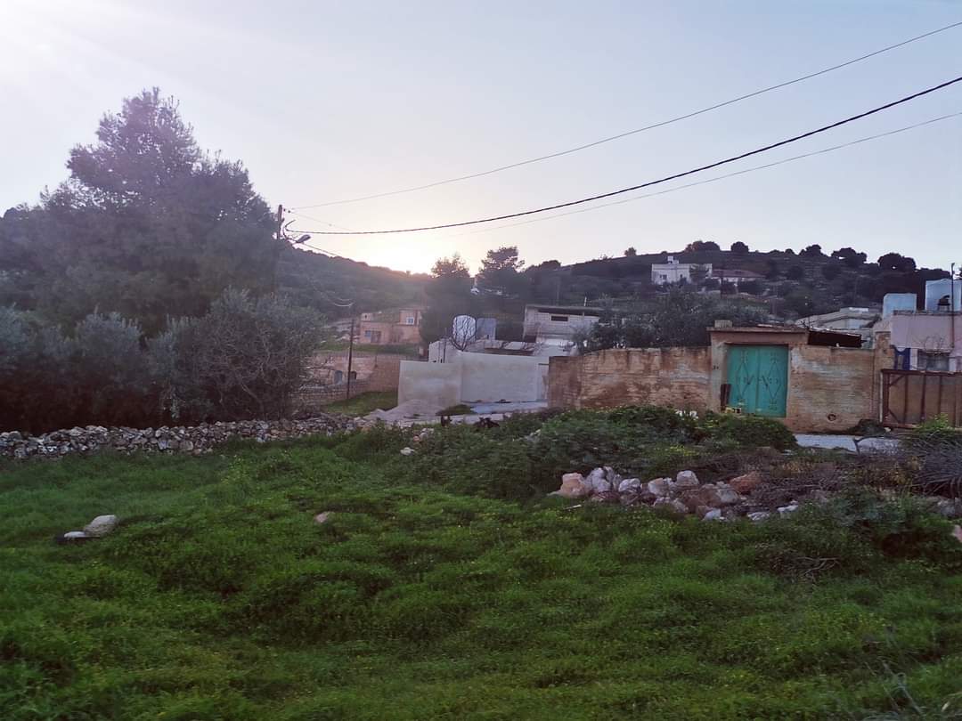 الدكتورة حنين عبيدات تكتب : جمال يجعلك منتمٍ أكثر!!  