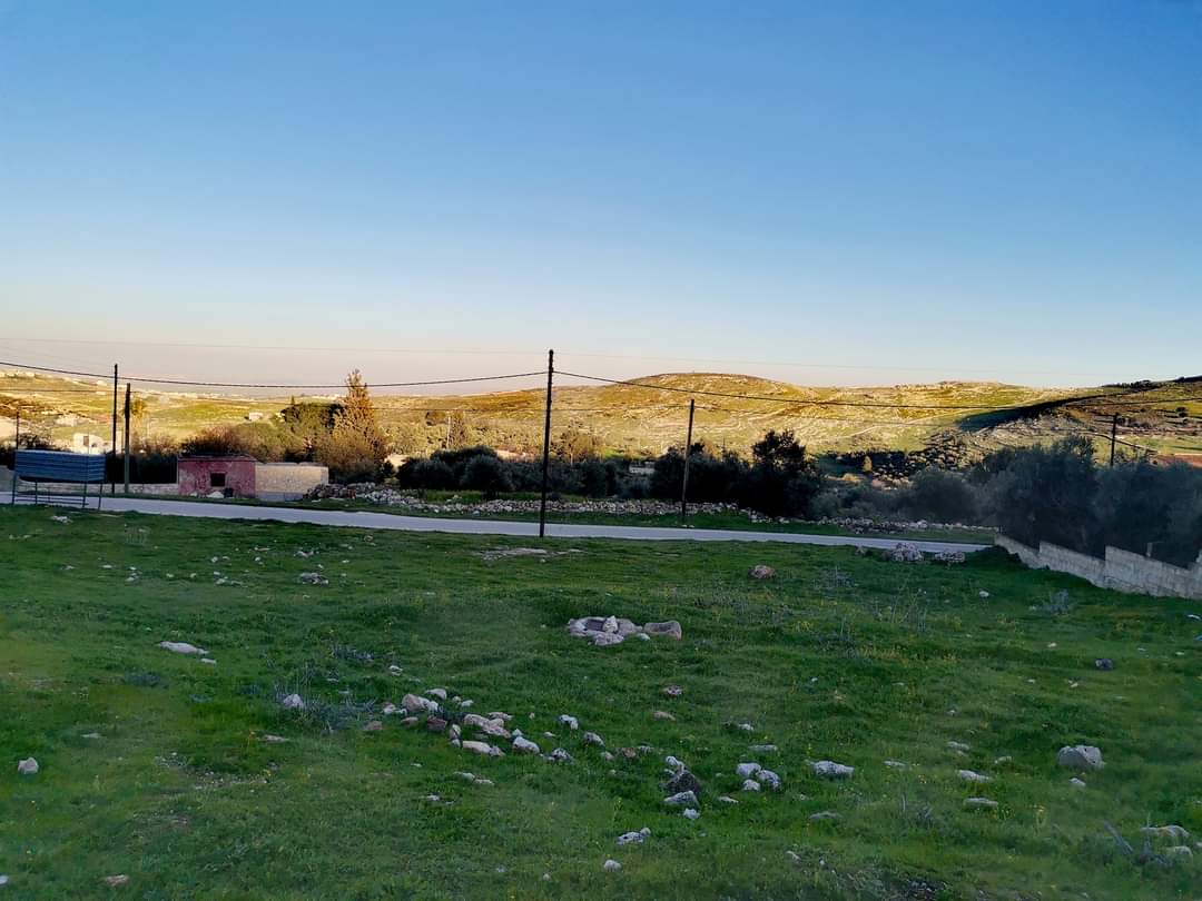 الدكتورة حنين عبيدات تكتب : جمال يجعلك منتمٍ أكثر!!  