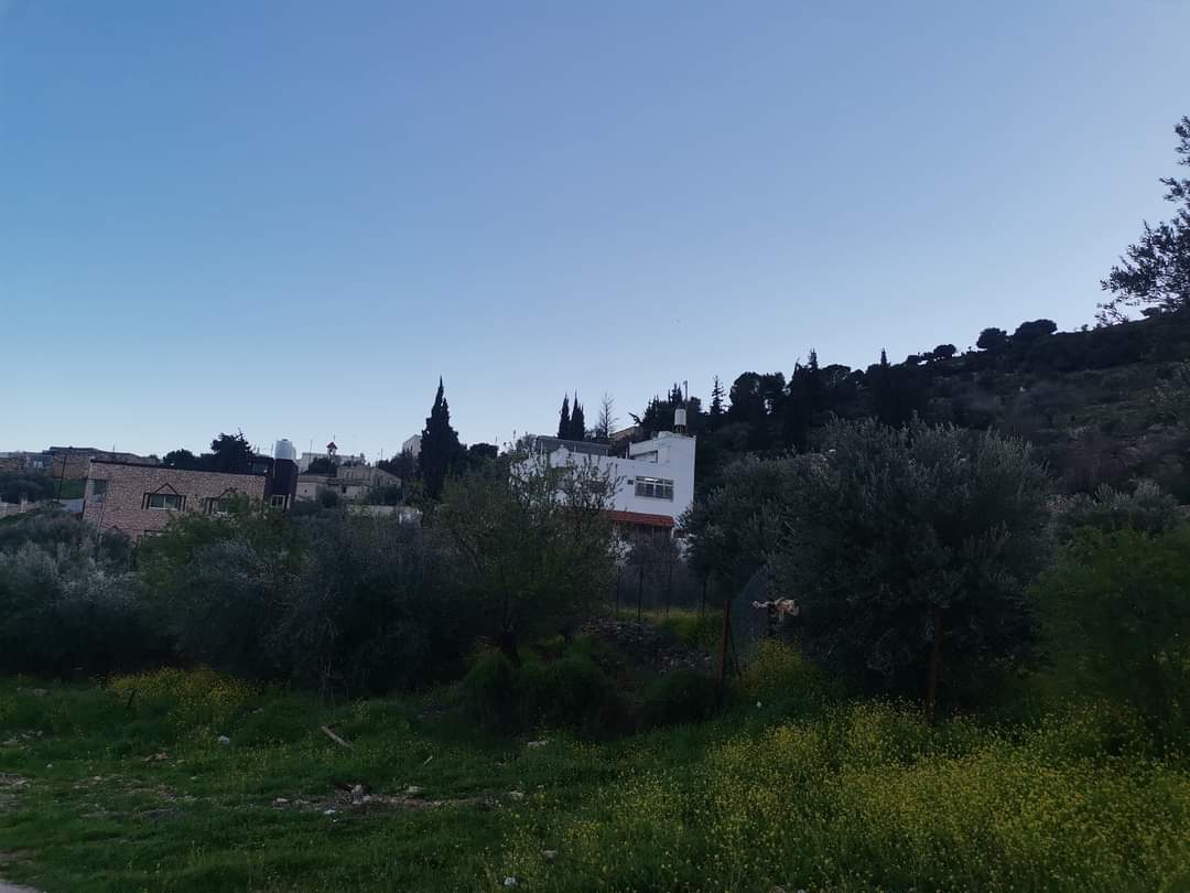 الدكتورة حنين عبيدات تكتب : جمال يجعلك منتمٍ أكثر!!  