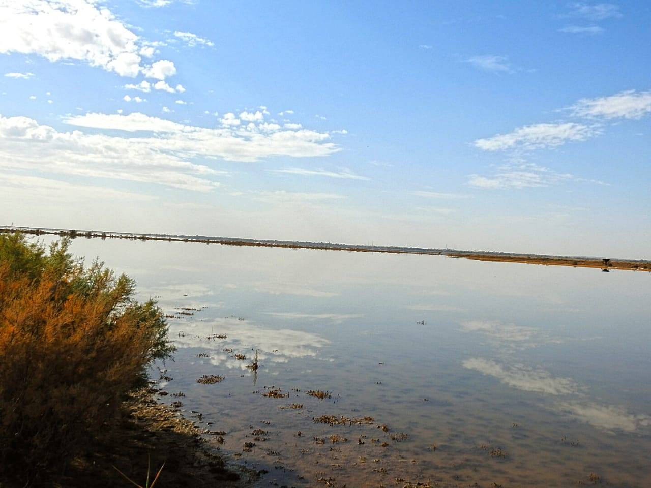 تسجيل أنواع جديدة ونادرة في القاع    ضم قاع الأزرق للمحمية أسهم في تحسن التنوع الحيوي