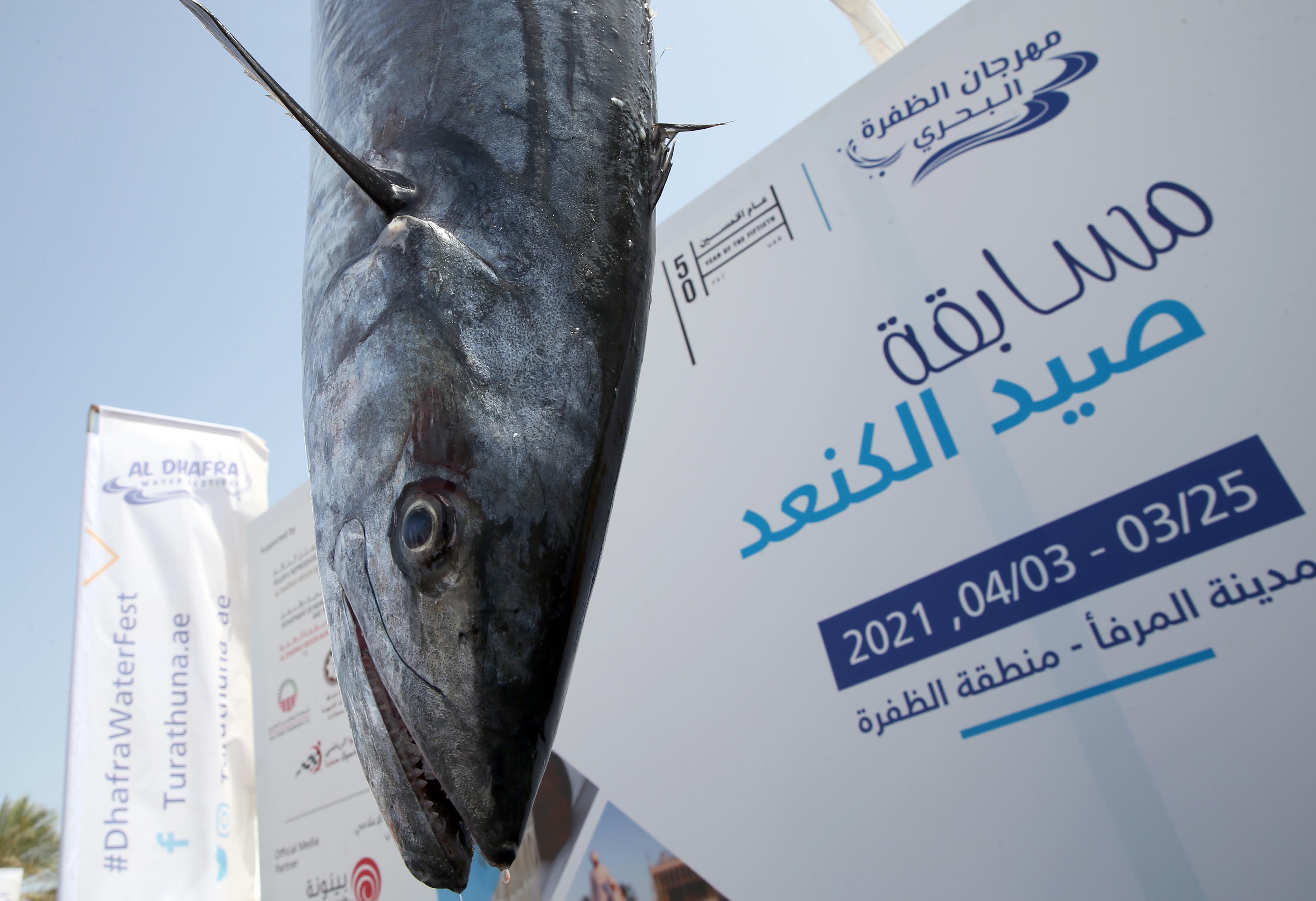 مهرجان الظفرة البحري يختتم فعالياته على شاطئ المرفأ بمنطقة الظفرة