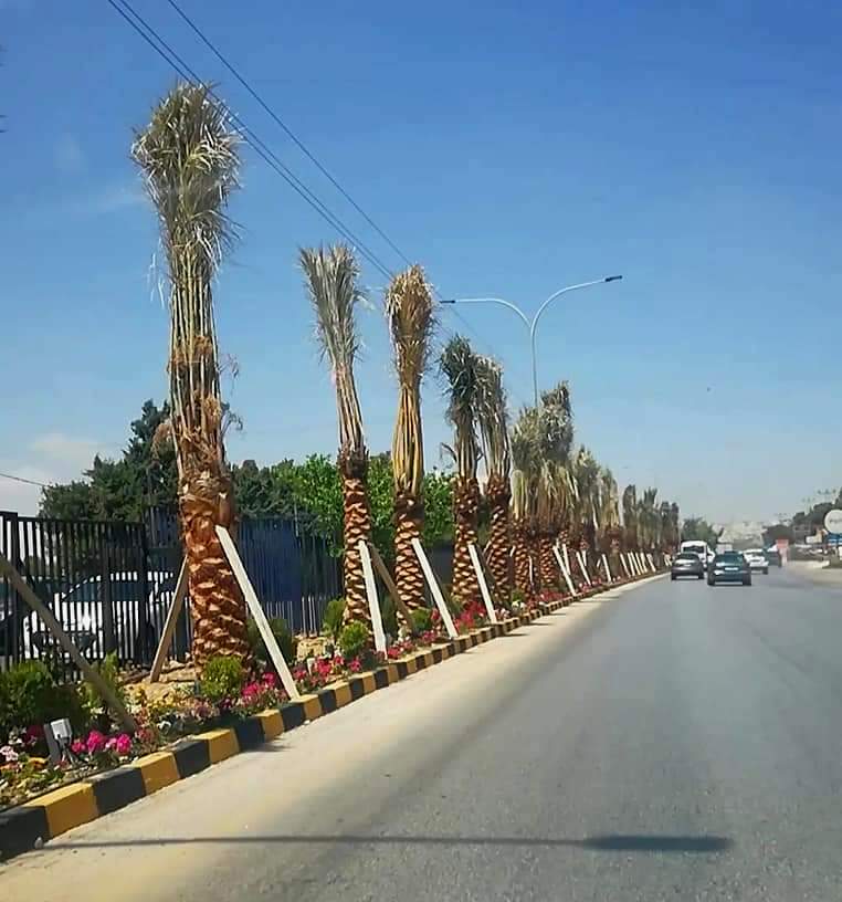 لفتة جميلة وراقية  من جامعة عمان الأهلية....  كتب : علي حياصات