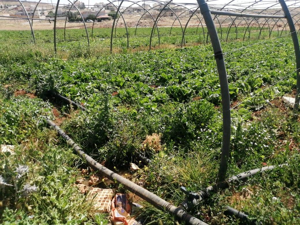 ضبط اعتداءات كبيرة على خط مياه ناقل في جنوب عمان