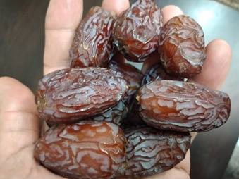 دراسة في البحوث الزراعية : تقليل كمية الري يحسن نوعية المجهول  ويقلل نسبة تقشره