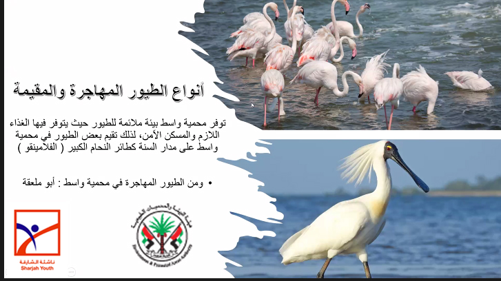 ناشئة الشارقة في جولة افتراضية مع الطيور في سماء الإمارات