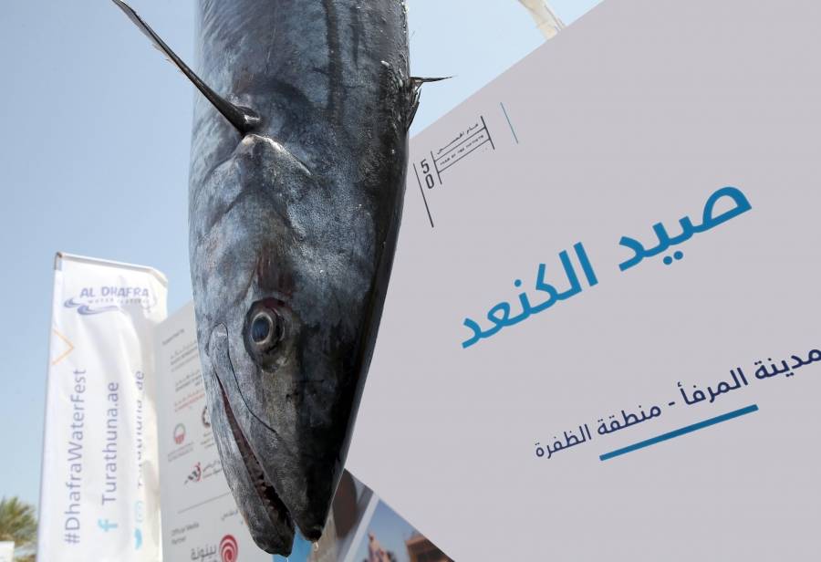 بطولة الظفرة الكبرى لصید الكنعد للرجال والنساء تنطلق 14 مایو  الجاري