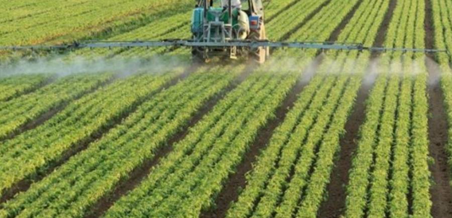 300 فرصة عمل تشغيلية للشباب (الذكور) في الطفيلة