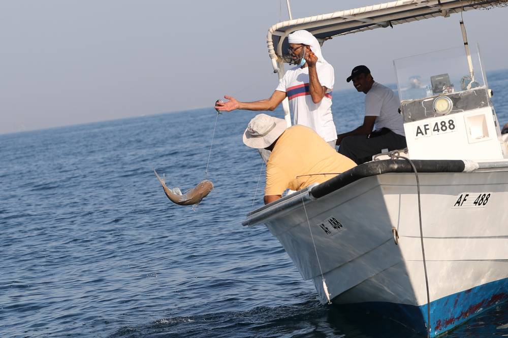 مهرجان دلما التاريخي يختتم مسابقاته في جزيرة دلما بمنطقة الظفرة