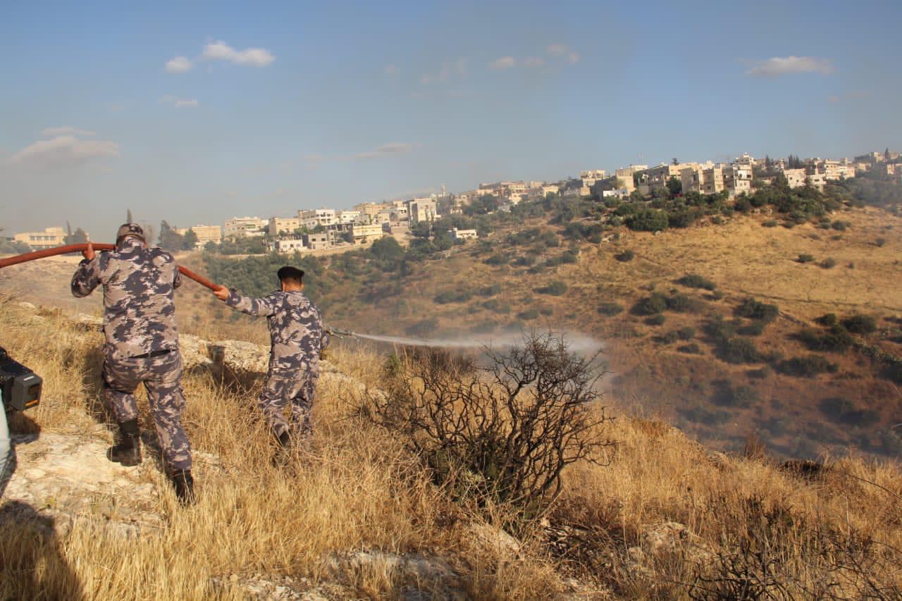 الدفاع المدني يخمد حريقا طال 1200 دونم من الأعشاب الجافة والاشجار والمحاصيل في محافظة اربد