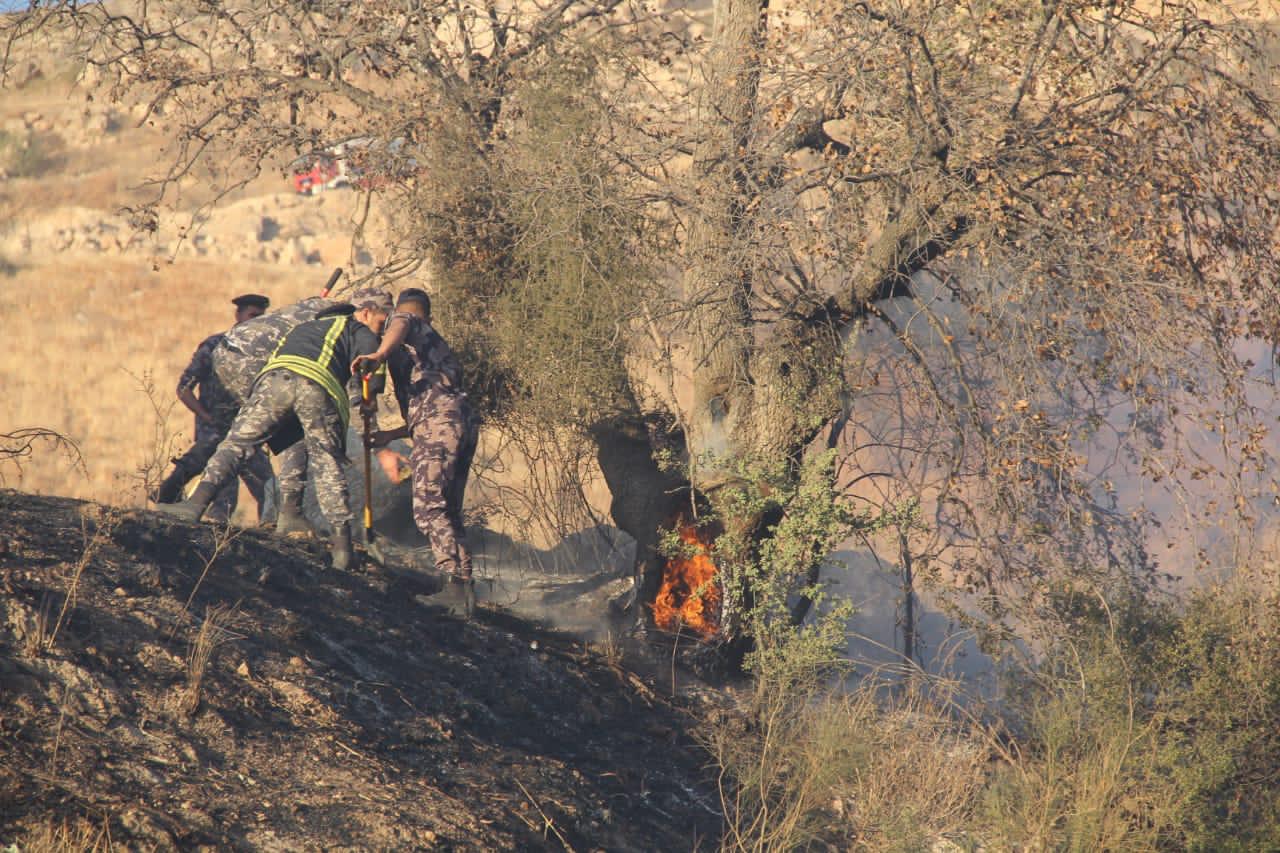 الدفاع المدني يخمد حريقا طال 1200 دونم من الأعشاب الجافة والاشجار والمحاصيل في محافظة اربد