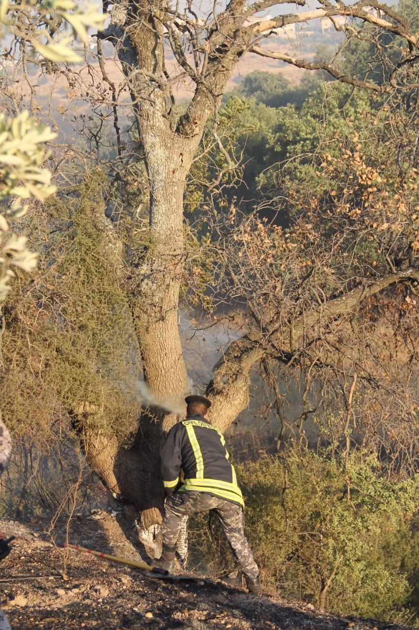 الدفاع المدني يخمد حريقا طال 1200 دونم من الأعشاب الجافة والاشجار والمحاصيل في محافظة اربد