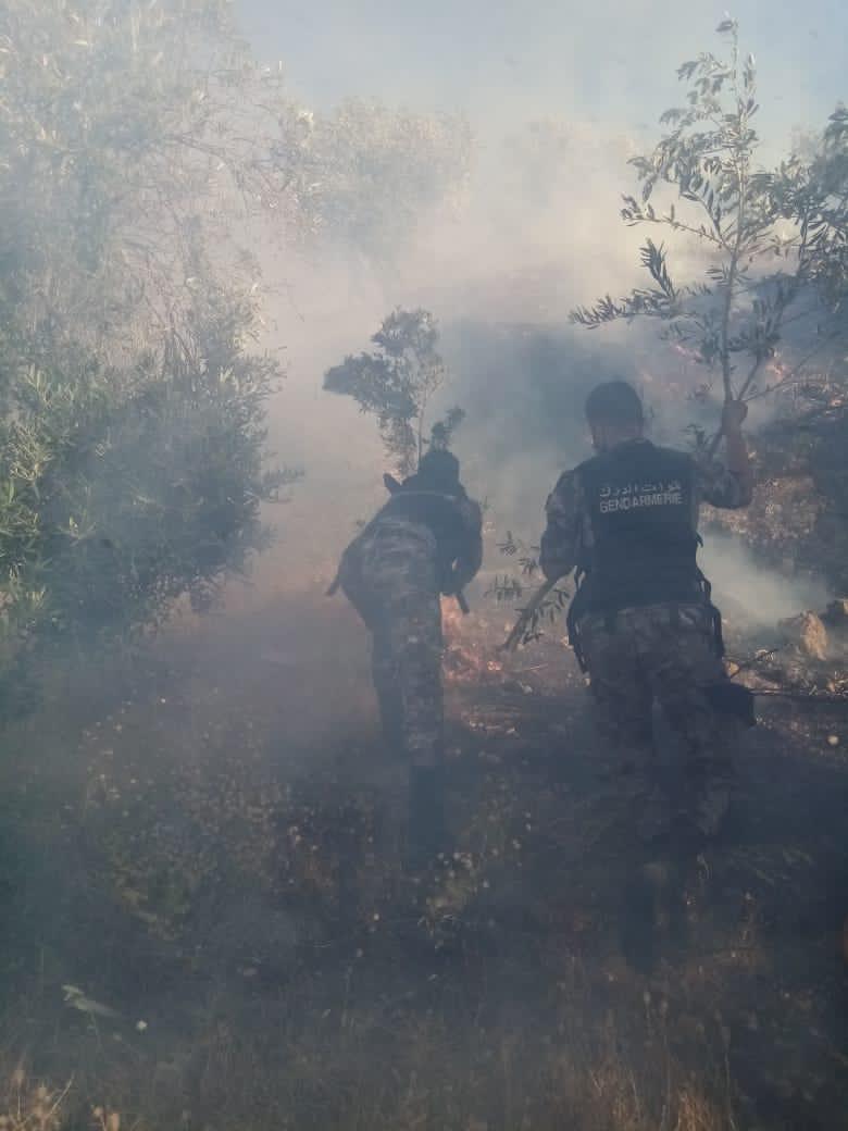 الدفاع المدني يخمد حريقا طال 1200 دونم من الأعشاب الجافة والاشجار والمحاصيل في محافظة اربد