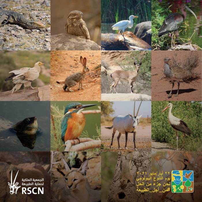 الأردن يشارك العالم الاحتفال بالتنوع الحيوي