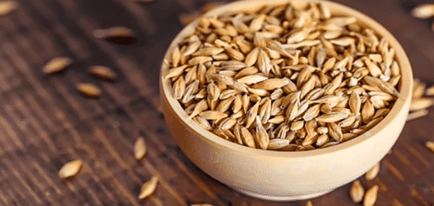 ‏رفع طن القمح والشعير 50 دينارا